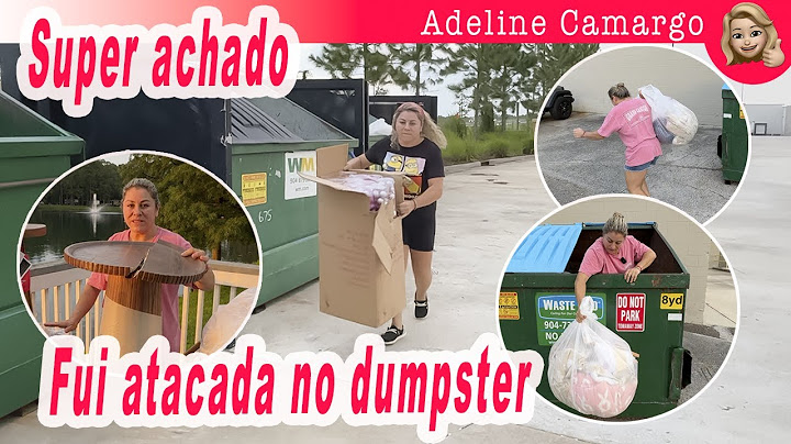 Super Dumpster Pela primeira vez fui atacada nos dumpster das lojas nos EUA