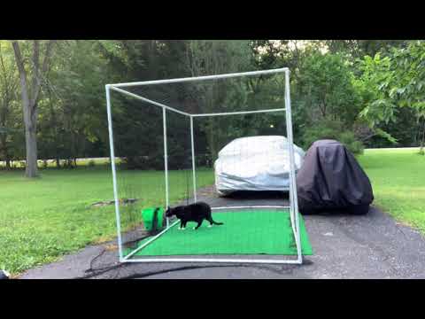 How To Build An Inexpensive Kennel Using PVC