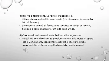 Cosa stabilisce la Convenzione di Ramsar?