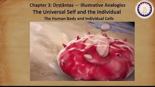 The Eternal Dharma - Advaitam Chapter 3