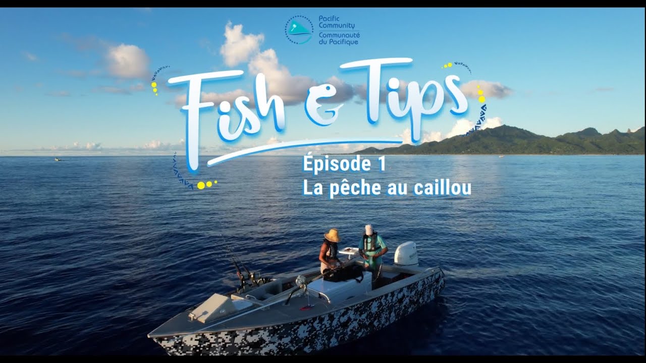 La pêche au caillou | Fish & Tips - S2 Ep1 (Français)