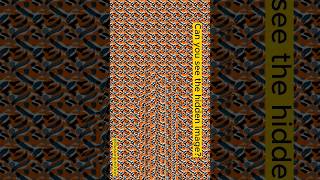 Stereogram #16 | Illusion Junction #shorts