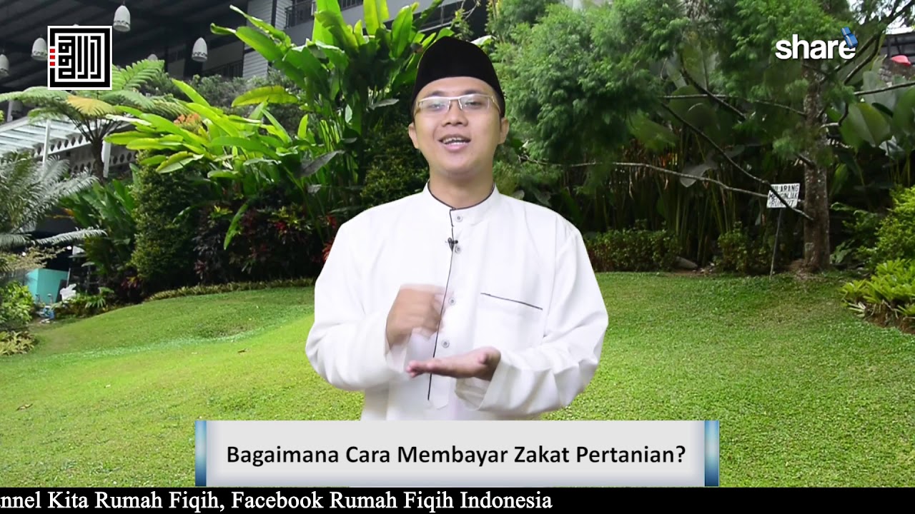 Bagaimana Cara Membayar Zakat Pertanian Ustadz Muhammad Ajib Lc Ma Youtube