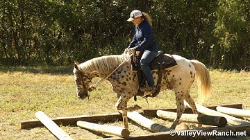 Boon - trail and obstacles! - ValleyViewRanch.net