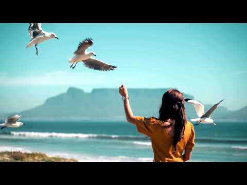Seagulls – Руслан Шарипов –Бона Кора Тун - Флейта