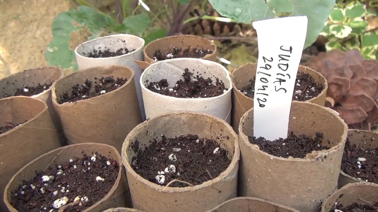 10 ideas para hacer semilleros con materiales reciclados 