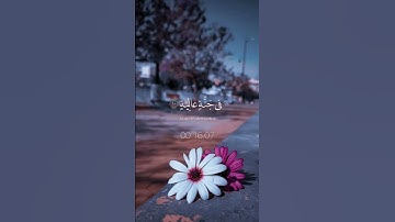 سورة الغاشية ✨اللهم صلي وسلم وبارك على سيدنا محمد 💗#قرآن_كل_يومين#قرآن_يهدئ#راحة_نفسية #القرآن_نور