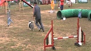 OPDES　In　秋ヶ瀬　AG3　ウィリアム　2012.3.4