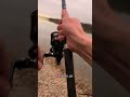 Плотва 2 кг, фідерна риболовля річка Дунай #рибалка #fishing #beregfeederfishing