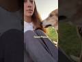 Boyfriends dog! #bf #dog #pets #tiktok #shortsfeed #vlog