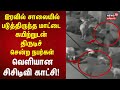 Thoothukudi |  இரவில் சாலையில் படுத்திருந்த மாட்டை கயிற்றுடன் திருடிச் சென்ற நபர்கள் | Cow Theft