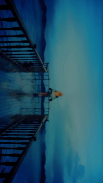 Lisa Blackpink Shut down-playing with fire #blackpink #lisa #lisablackpinkedit #fypシ #kpop #kpopedit