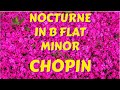 Nocturne in B Flat Minor Chopin ~ Relaxing Classical Music for Stress Relief Piano 432 Hz