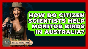 How Do Citizen Scientists Help Monitor Birds In Australia? - Bird Watching Diaries