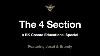 BK Cosmo - The 4 Section