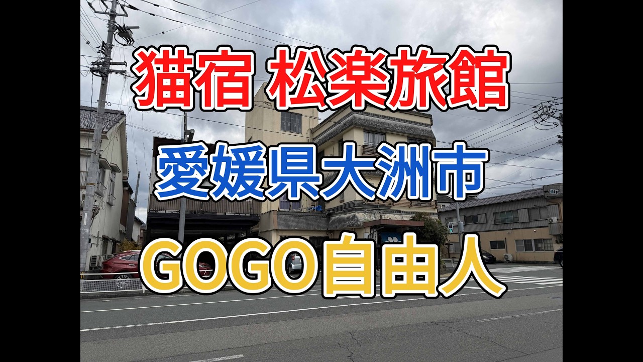 南予 猫宿 松楽旅館（愛媛県大洲市）2025.12.14