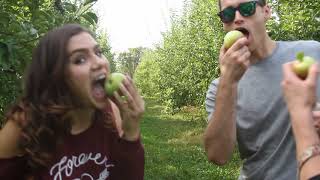 Apple Pick at Dave's Apple Orchard
