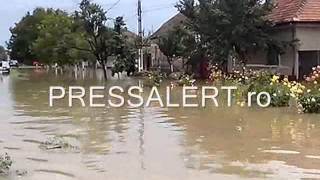 Inundatii Gataia 2 31 07 2014