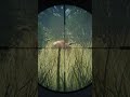 Sometimes you have to take a risk... | theHunter: Call of the Wild #shorts