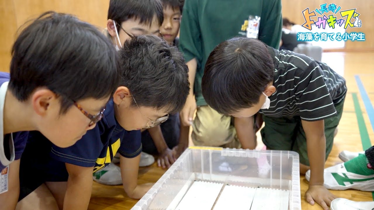 海藻を育てる小学生（1）