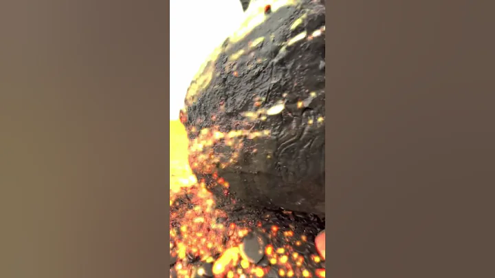 ENORMOUS Rock CRACKED for Fossils! 😳