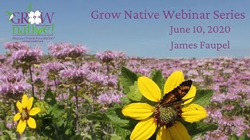 Grow Native! Webinar Series: James Faupel - Gauging Success of an Urban Native Planting
