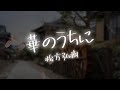 【AIが歌う歌謡曲/Cover】華のうちに / 松方弘樹 作詞:吉幾三 作曲:吉幾三