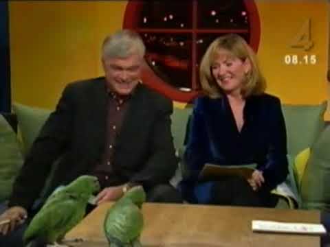 Papegojor i Nyhetsmorgon 1998-11-30