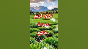 أجمل تلاوة قرآن تهز القلب  خشوع يريح النفس ويسعد الروح#قرآن #قرآن_كريم #تلاوة #خشوع