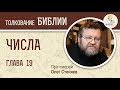 Числа, Глава 19. Протоиерей Олег Стеняев. Толкование Ветхого Завета. Книга Чисел. Толкование Библии