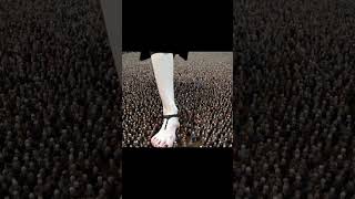 She Just Wanted A Tiny Birthday Surpriseand They Gave Her Millions To Squish.