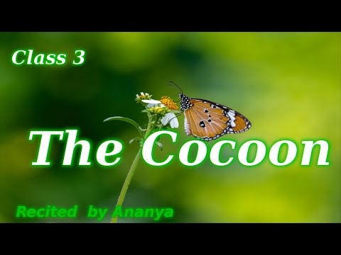 The Cocoon poem