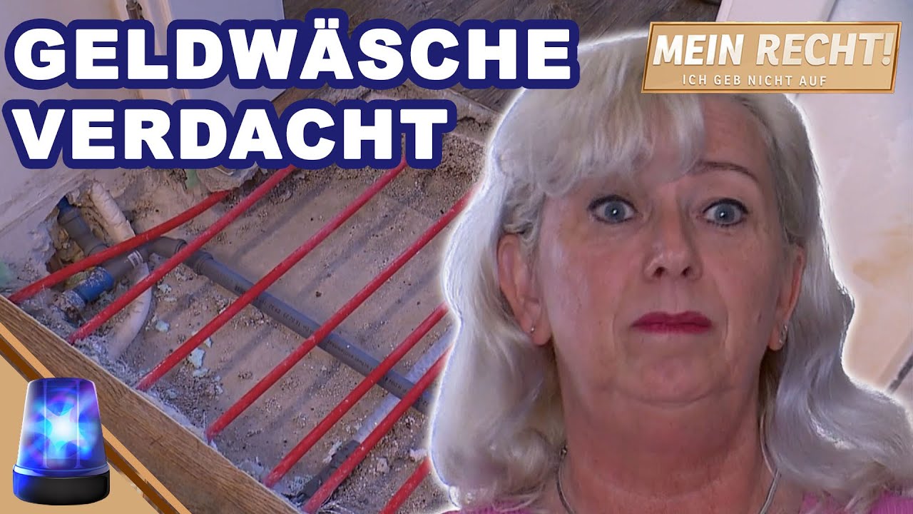 Ewa Horwath Sprawdzian Kl 6 Po Rozdziale 6 Geldwäsche und Pfusch? Dr. Horwath ermittelt gegen Installateur | Mein