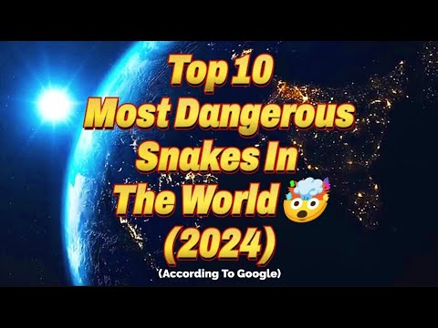 🤯Top10 Most Dangerous Snakes In The World *2024* - YouTube