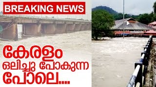 വീടുകളും കടകളും മുങ്ങി താഴുന്നു.... I Heavy rain in kerala