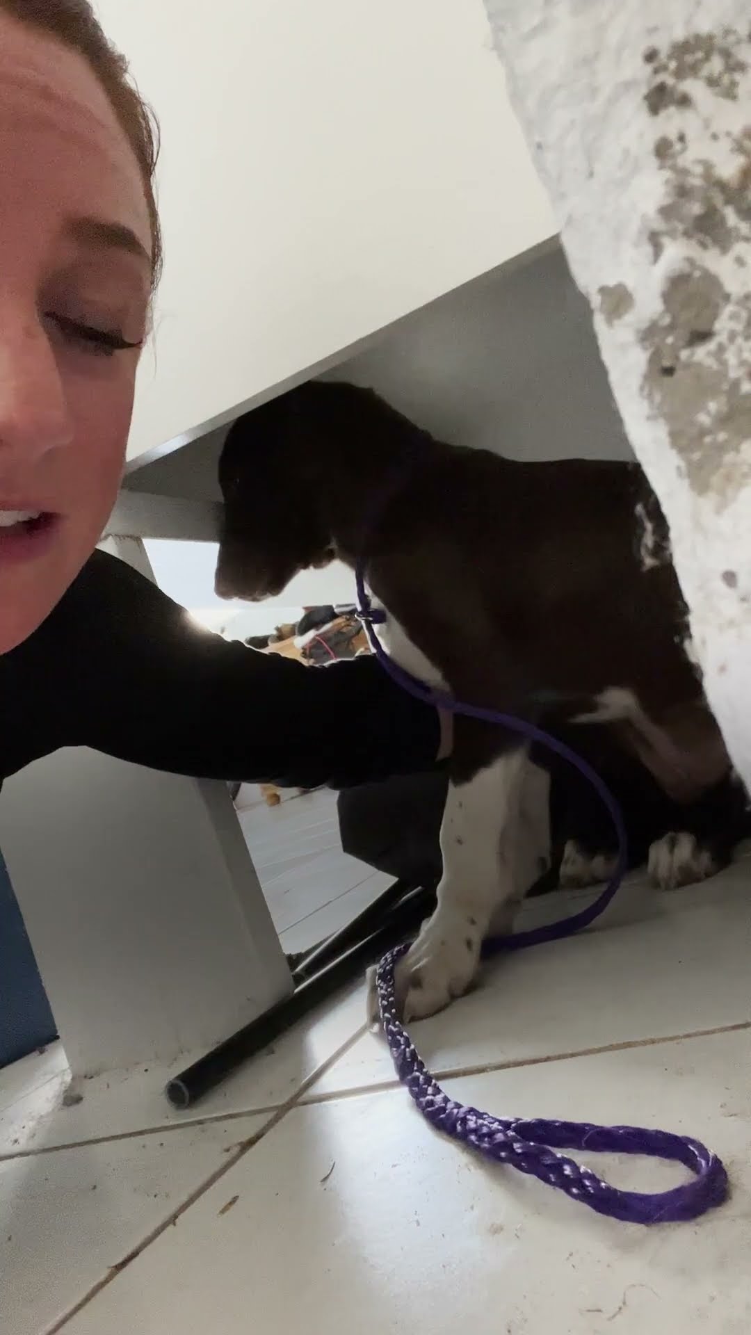 Woman Rescues 3 Puppies Just In Time | The Dodo