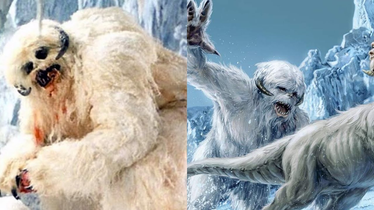Was the Wampa Attack in Empire Strikes Back Created to Explain