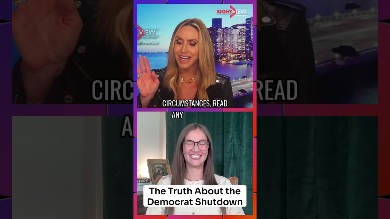 Правда о приостановке работы демократов