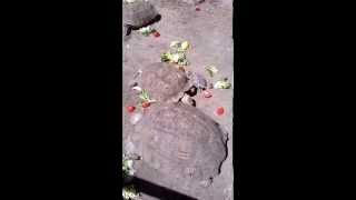 WP 20140517 006