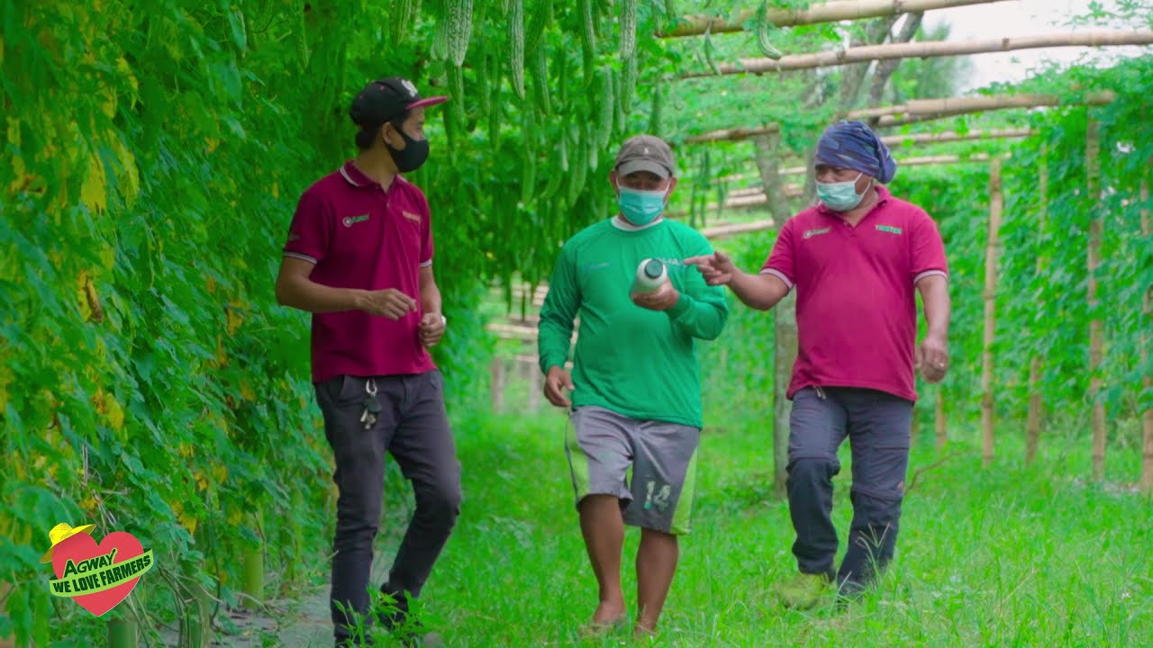 Systemic Fungicide with 2-in-1 Action | RESIST 325 SC (Difenoconazole+Azoxystrobin)