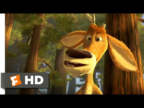 Open Season Forest 101 Fandango Family