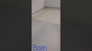 Meet Bain!