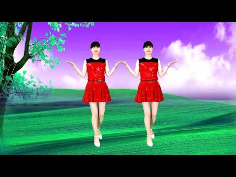 DJ《今生我愿陪伴你》《一辈子为你等候》《你是陪我风雨的人》