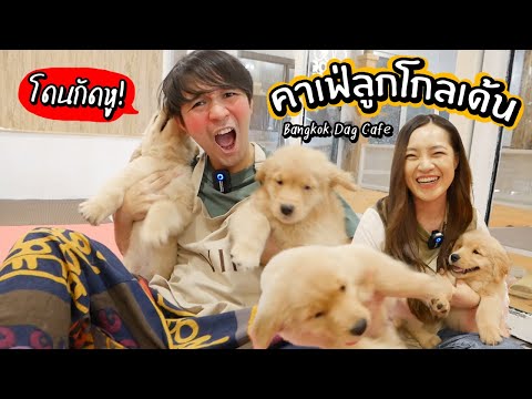 ผลสลากกินแบ่งรัฐบาล วันที่ 1 พย. 2567 ผลสลากกินแบ่งรัฐบาล วันที่ 1 พย. 2567