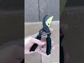 Comfortable and sharp shears for easy pruning