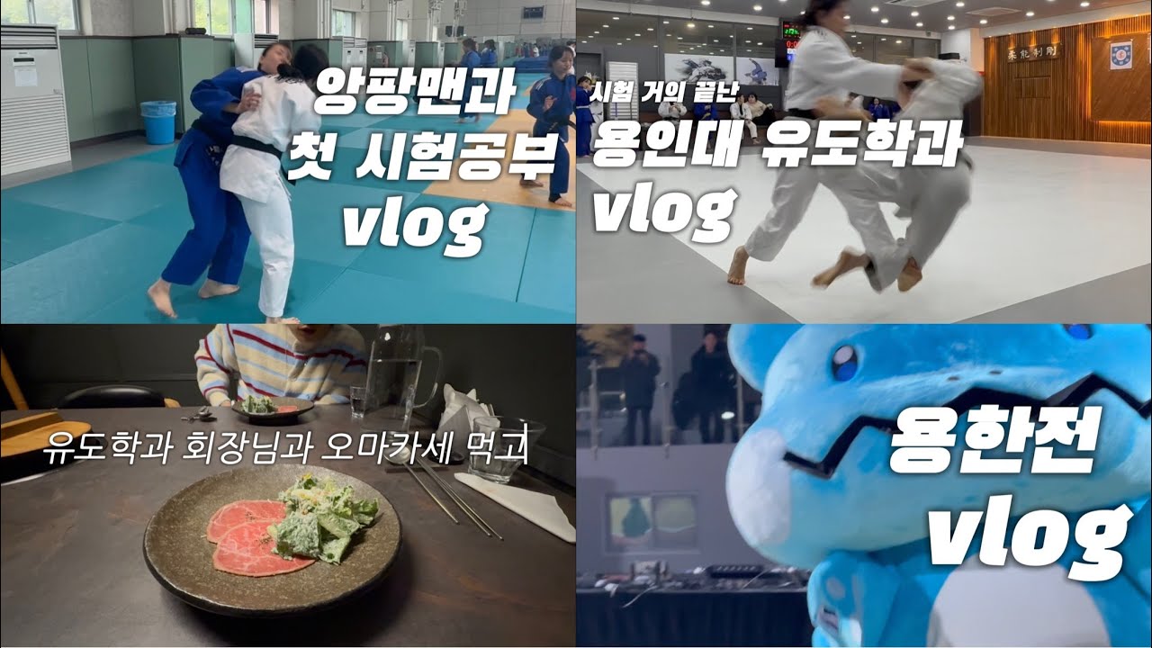 [용인대 유도학과] 11월 브이로그 몰아보기 #브이로그 #메치기본 #유도