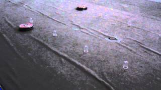 Robotika 2012 - iRobot sacensības / Baltic Robot Sumo 2012 - iRobot challenge