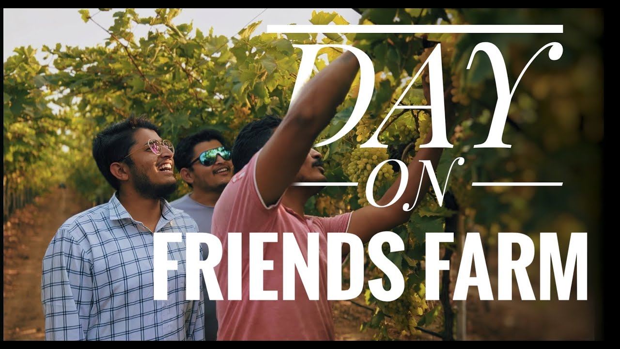 Escape the ordinary: A day on a friend's farm adventure