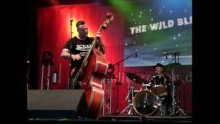 the WILD BLACK JETS - New CD - 