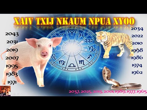 Video: Li Cas Los Xaiv Cov Tsiaj Hauv Tsev